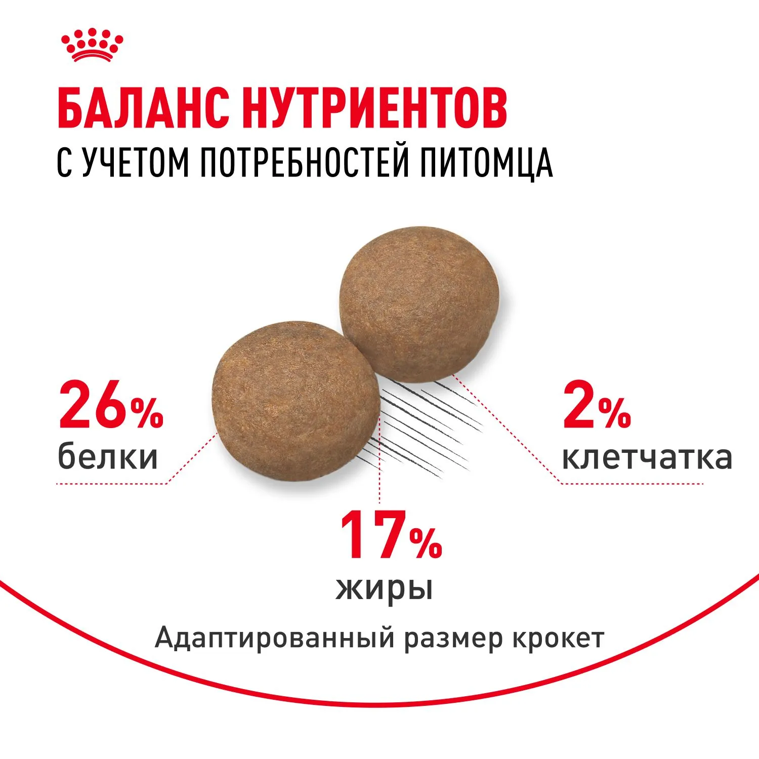Корм Royal Canin Maxi Adult для взрослых собак крупных размеров