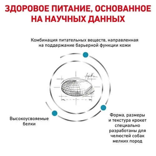 Royal Canin Skin Care Small Dog