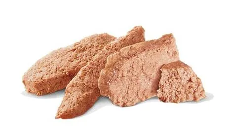 Royal Canin Hepatic Dog