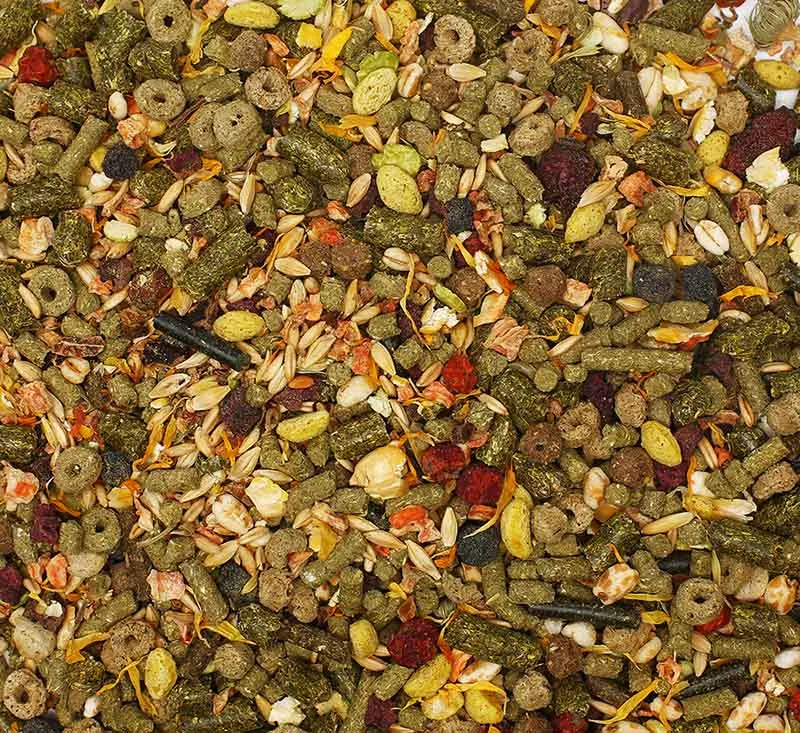 БОСПА Премиум Корм для морских свинок