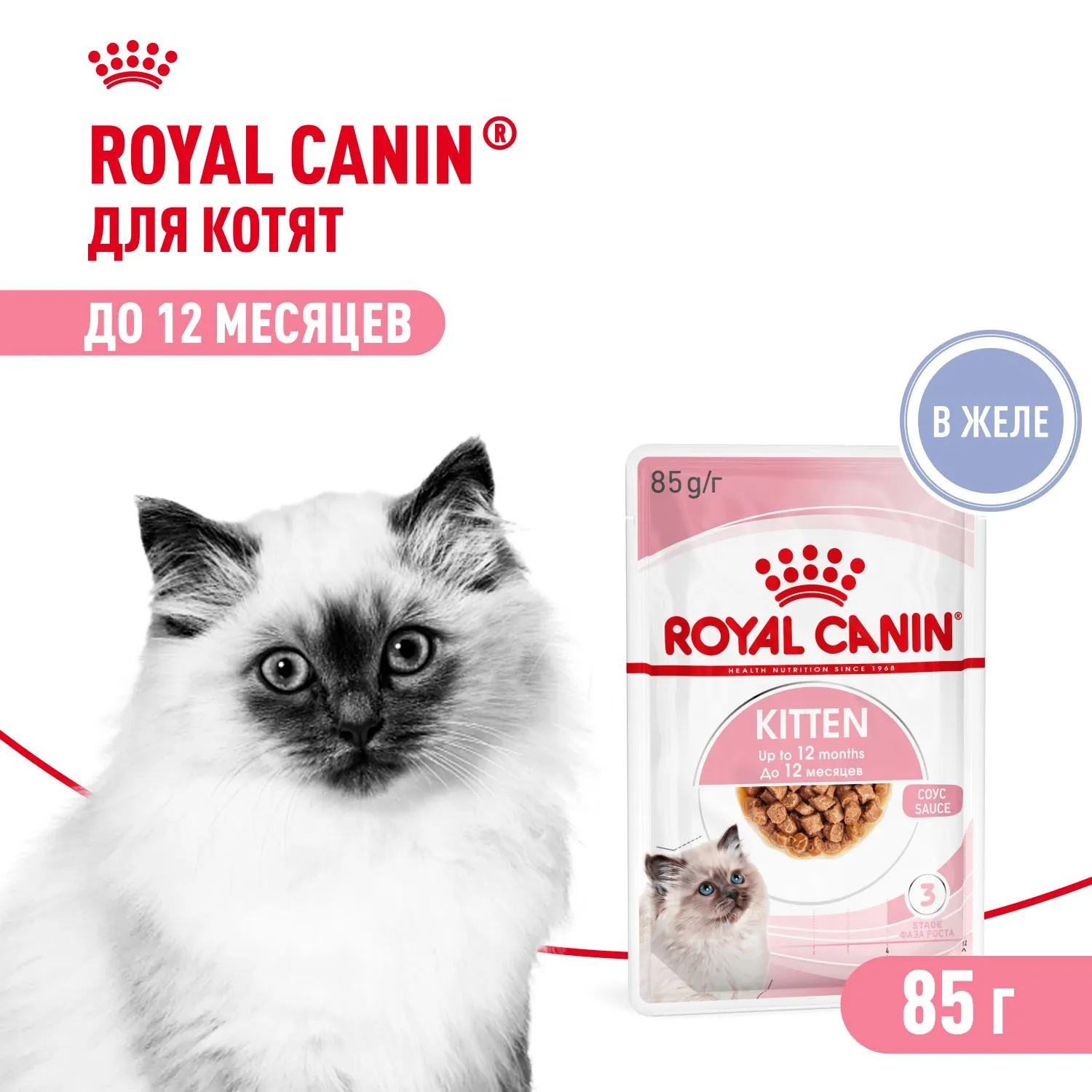Royal Canin Kitten (желе)