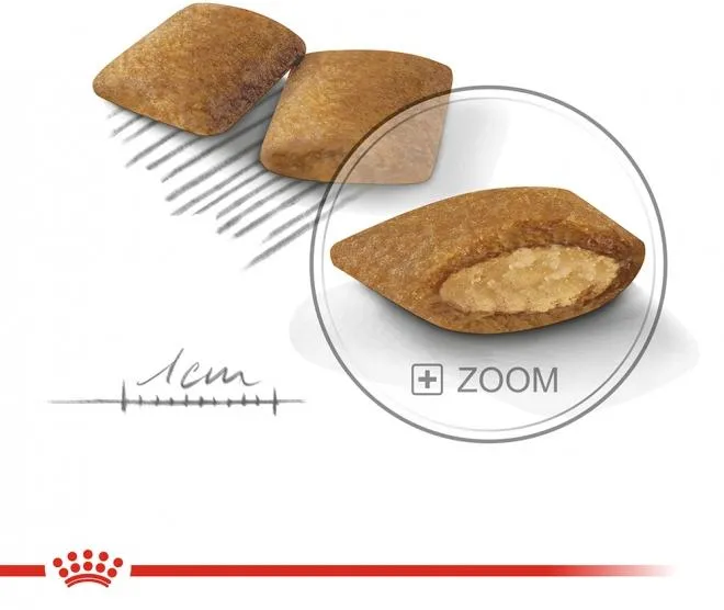 Корм Royal Canin Mini Exigent для собак