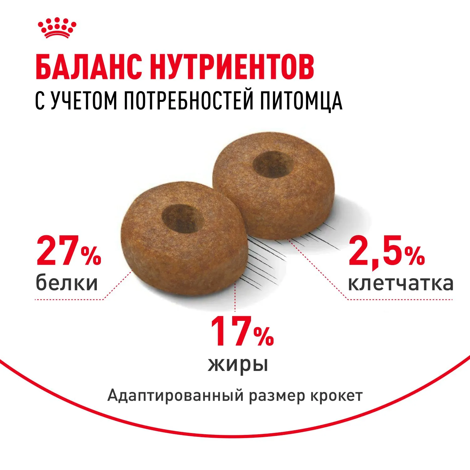Корм Royal Canin Maxi Ageing 8+ для крупных собак в возрасте 8 лет и старше