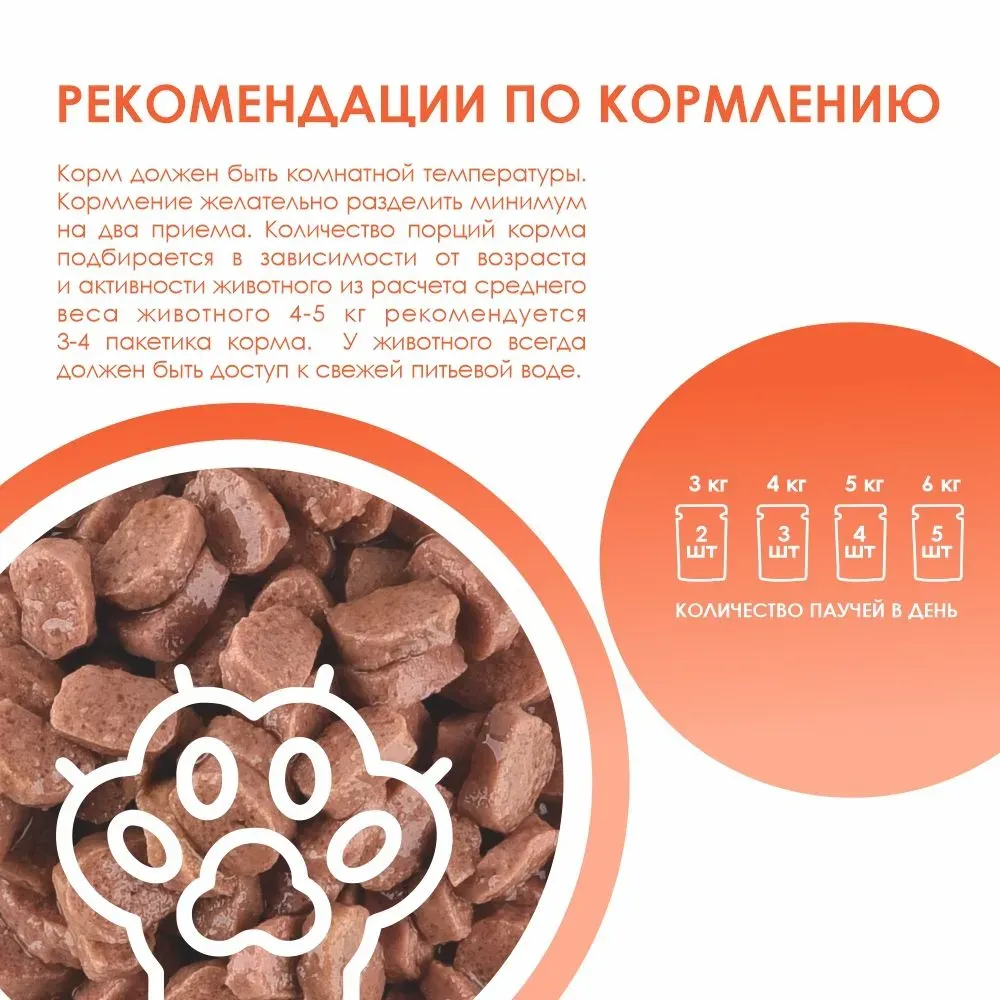 Kissa Пауч для кошек (Индейка в соусе)