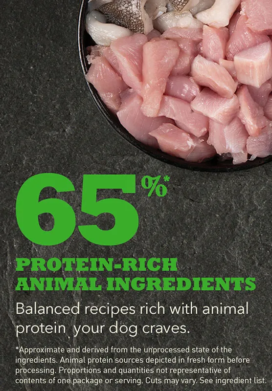 Корм ACANA SENIOR Dog