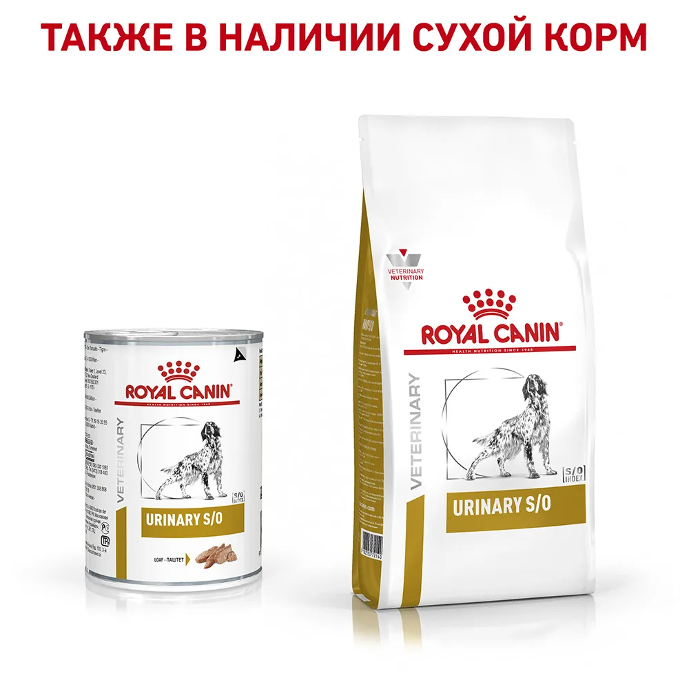 Royal Canin Urinary S/O Dog (паштет)