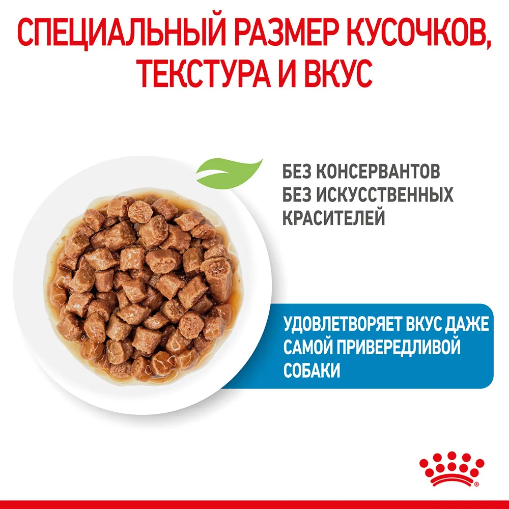 Royal Canin X-Small Puppy (в соусе)