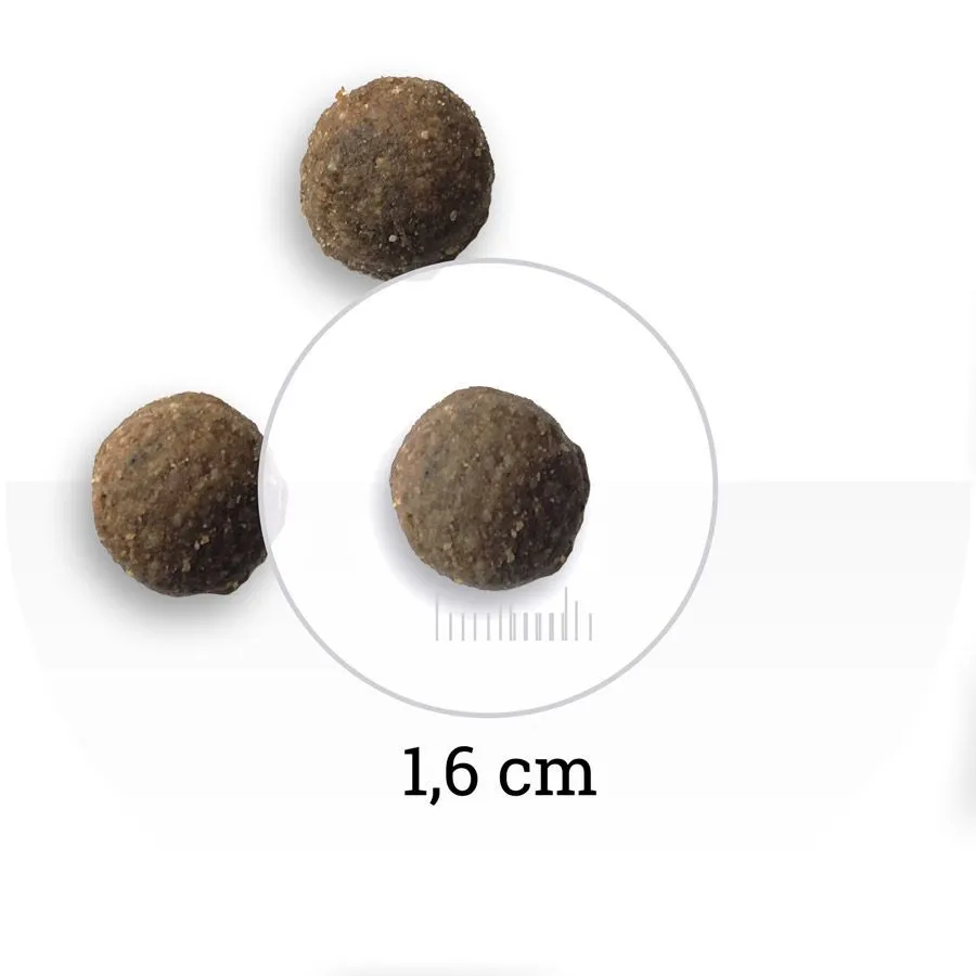 Bon Appetit Adult Dog (Ягненок, лосось, рис)