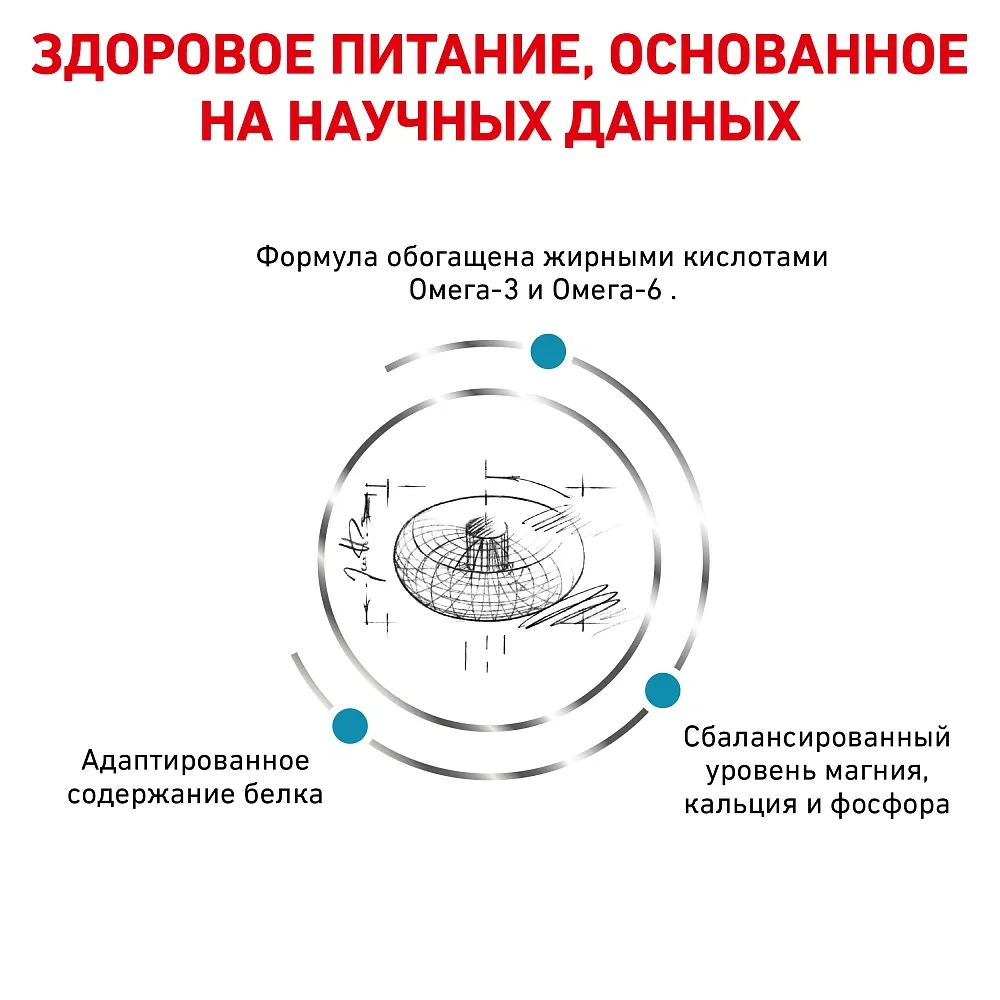 Корм Royal Canin Skin & Coat Feline