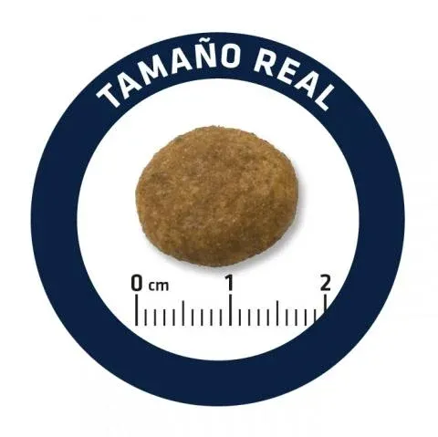 Advance Dog Maxi Junior (Курица)