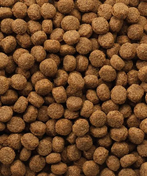 Versele-Laga OKE Dog Classic Puppy