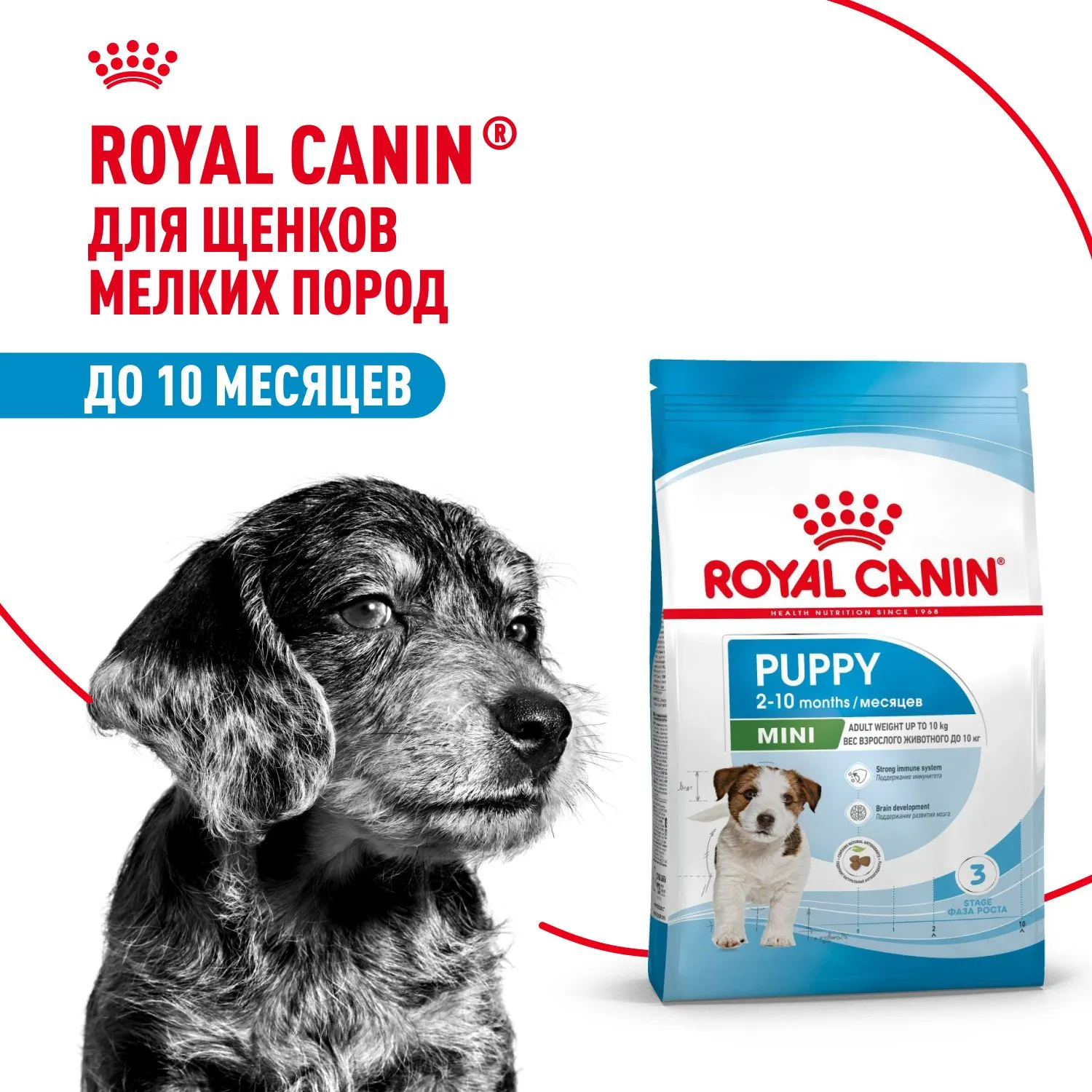 Royal Canin Mini Puppy