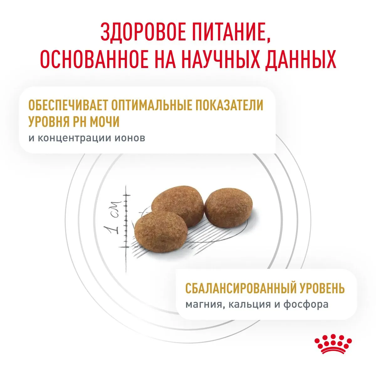 Royal Canin Urinary S/O Feline