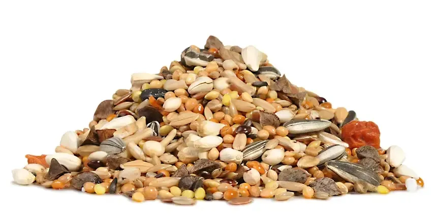 RIO Корм для средних попугаев (линька)