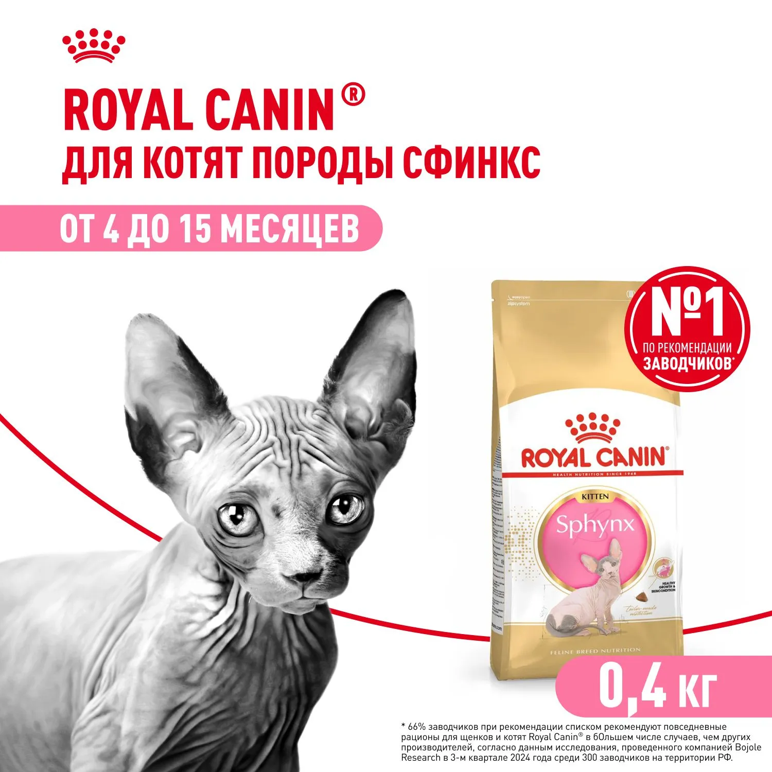Корм Royal Canin Sphynx Kitten для котят
