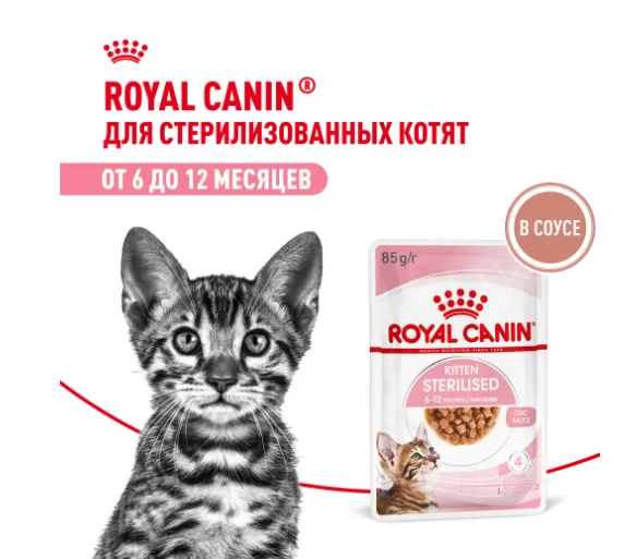 Royal Canin Kitten Sterilised (соус)