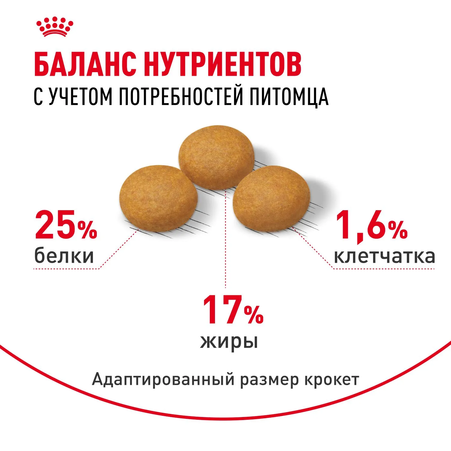 Корм Royal Canin Maxi Dermacomfort для собак