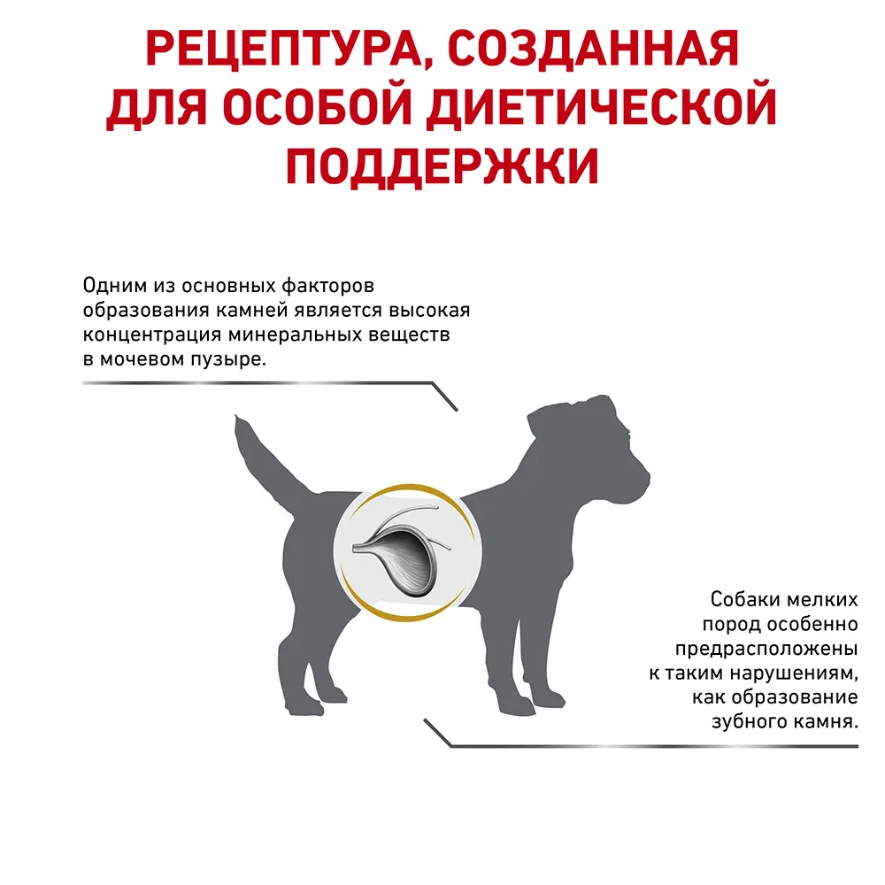 Royal Canin Urinary S/O Small Dog