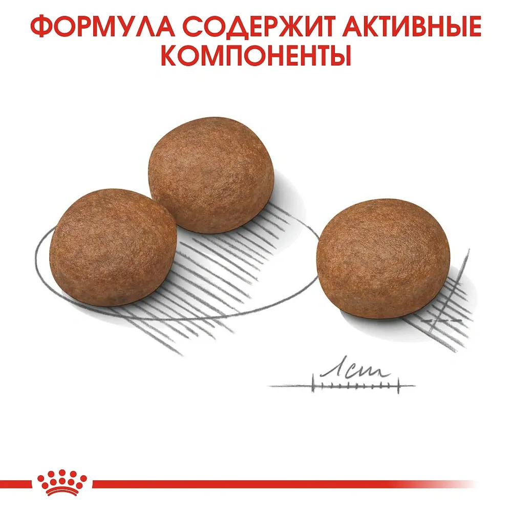 Корм Royal Canin Medium Digestive Care для собак