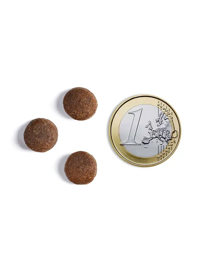 AMBROSIA Puppy&Junior Large Breeds (Курица, лосось)