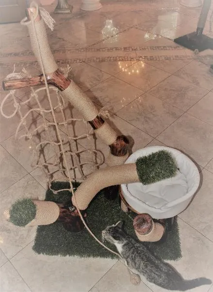 Natural House Когтеточка Fenix