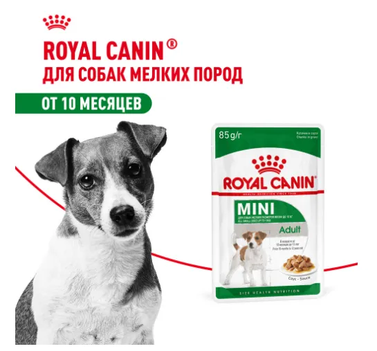 Royal Canin Mini Adult (в соусе)