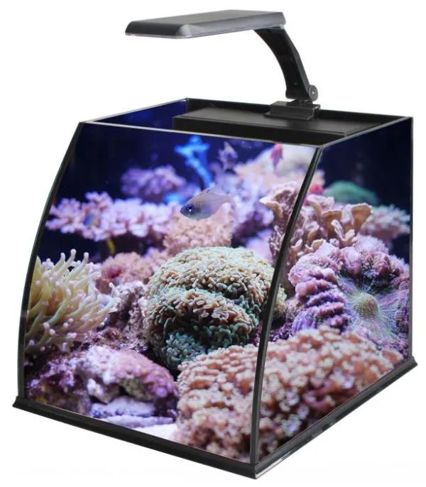 Haqos Трапециевый аквариум Belly Box