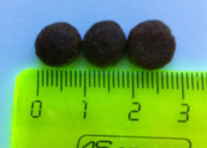 ZooRing Adult Mini Dog (Индейка, рис)