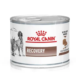 Royal Canin Recovery (мусс), 195 г
