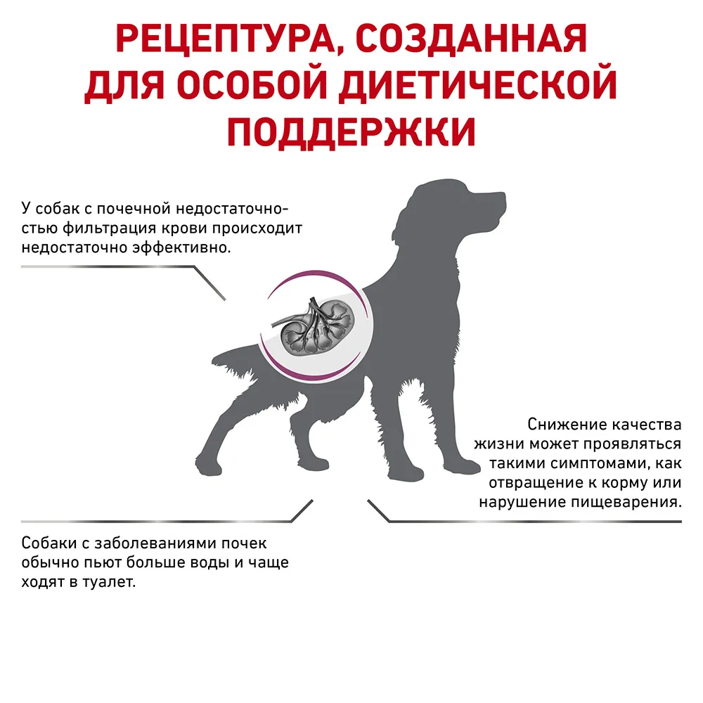 Royal Canin Renal Dog