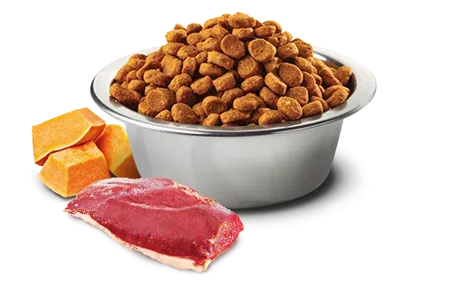 Farmina N&D Pumpkin GF Adult Medium & Maxi (Тыква, утка, дыня)