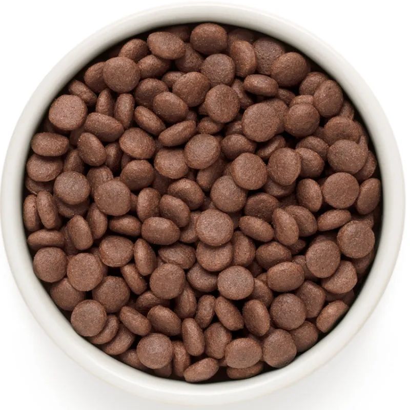 Grandorf Adult Medium & Maxi (Ягненок, индейка)