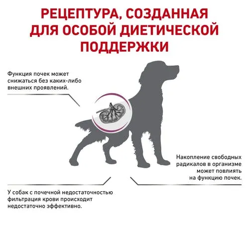 Royal Canin Early Renal Dog