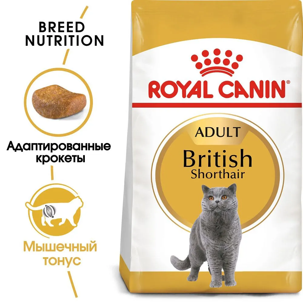 Корм Royal Canin British Shorthair Adult для кошек