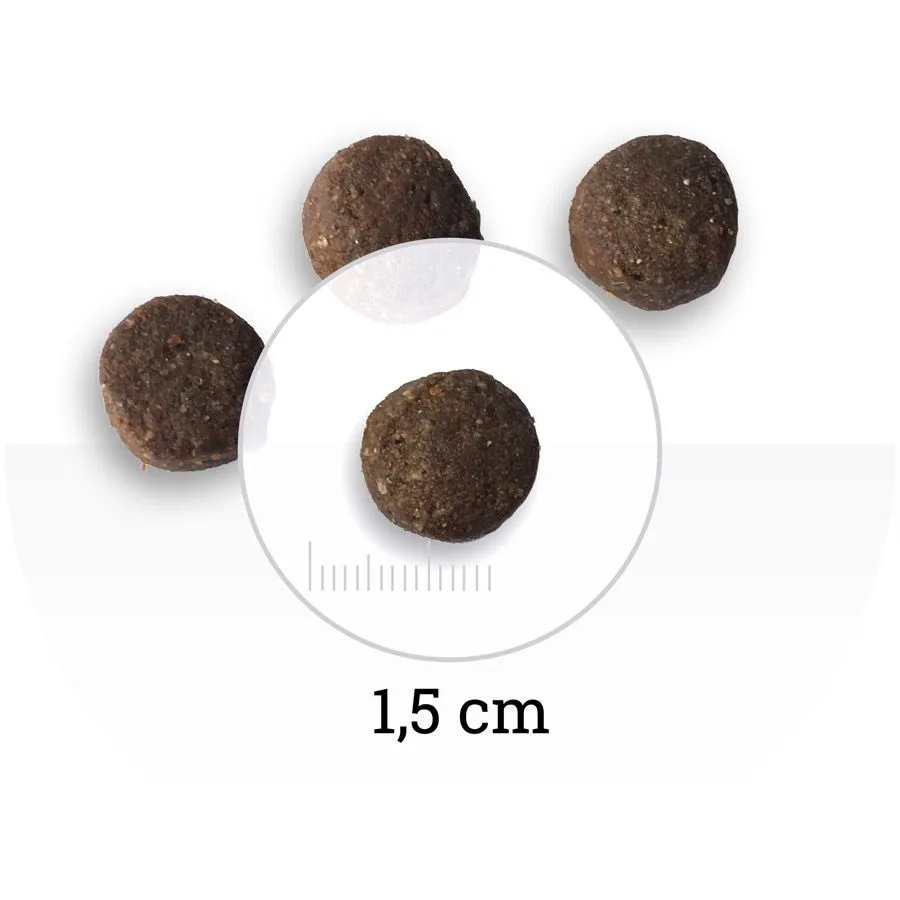 Bon Appetit Adult Dog (Курица и рис)