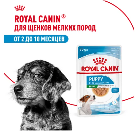 Royal Canin Mini Puppy (в соусе)