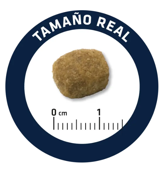 Advance Dog Medium Light (Курица)