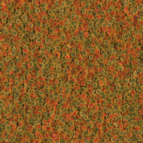 Tetra Корм TetraPro Energy