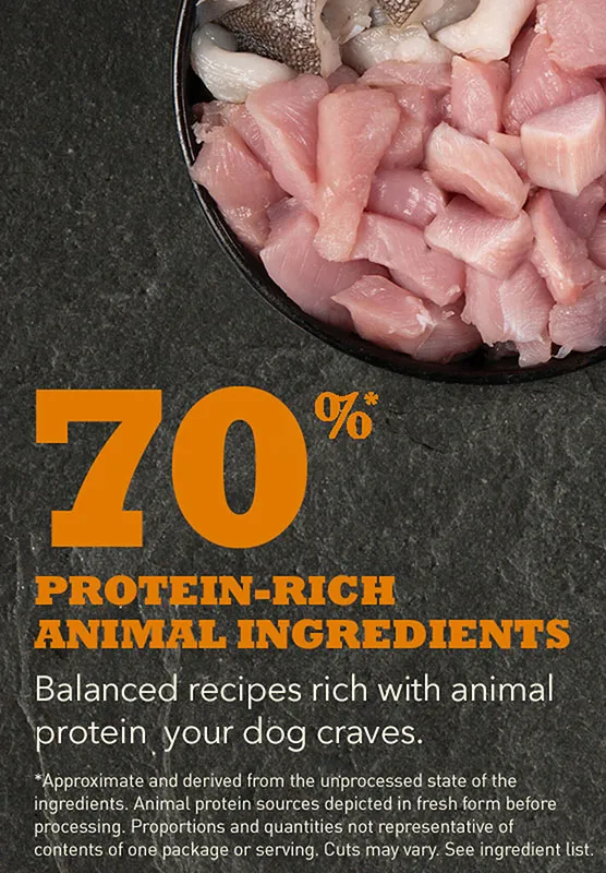 ACANA PUPPY LARGE BREED (для щенков)