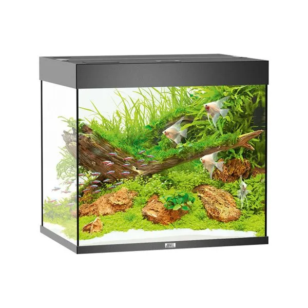 Juwel Аквариум Lido 200 LED
