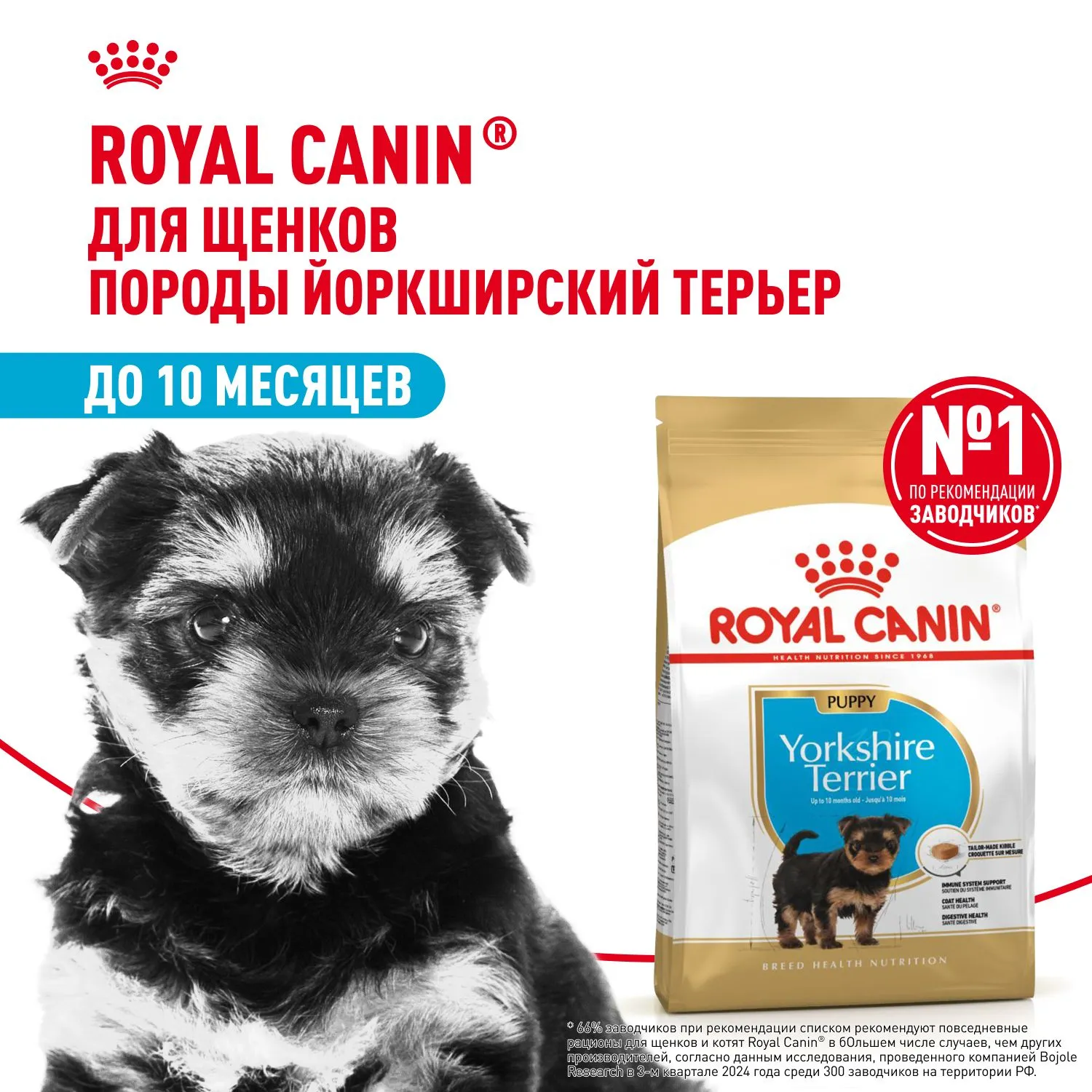 Royal Canin Yorkshire Terrier Puppy