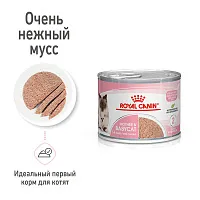 Royal Canin Mother & Babycat (мусс)