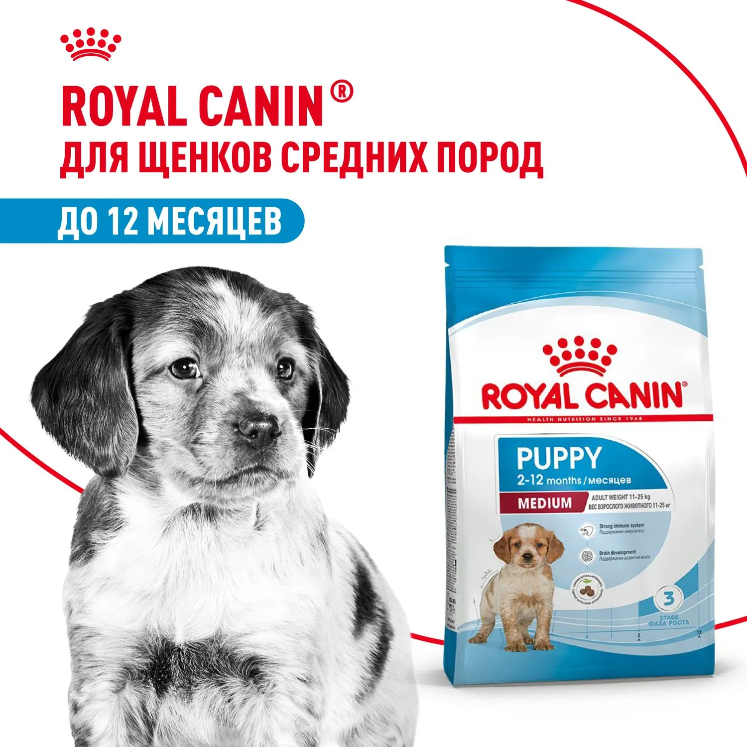 Royal Canin Puppy Medium