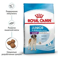 Royal Canin Giant Junior