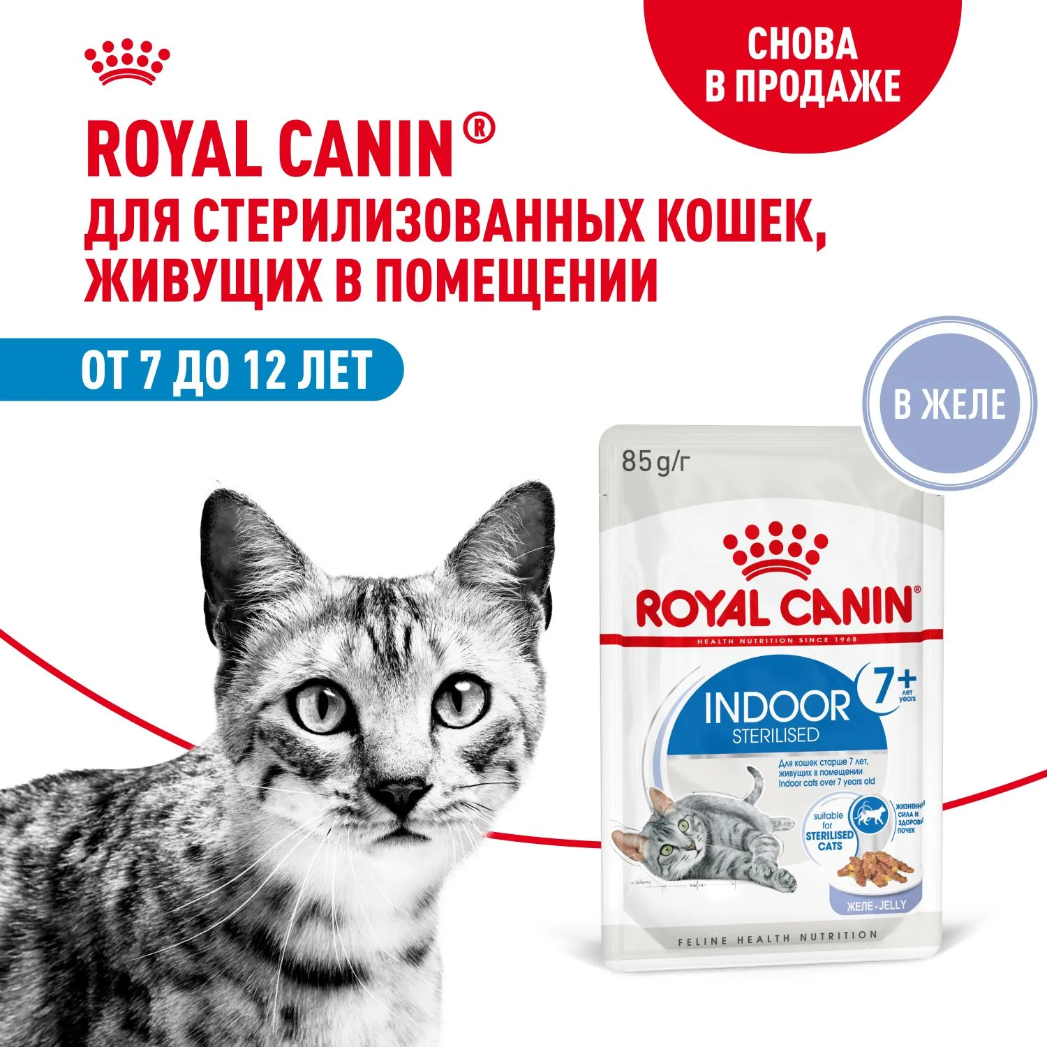 Royal Canin Indoor Sterilized +7 (желе)