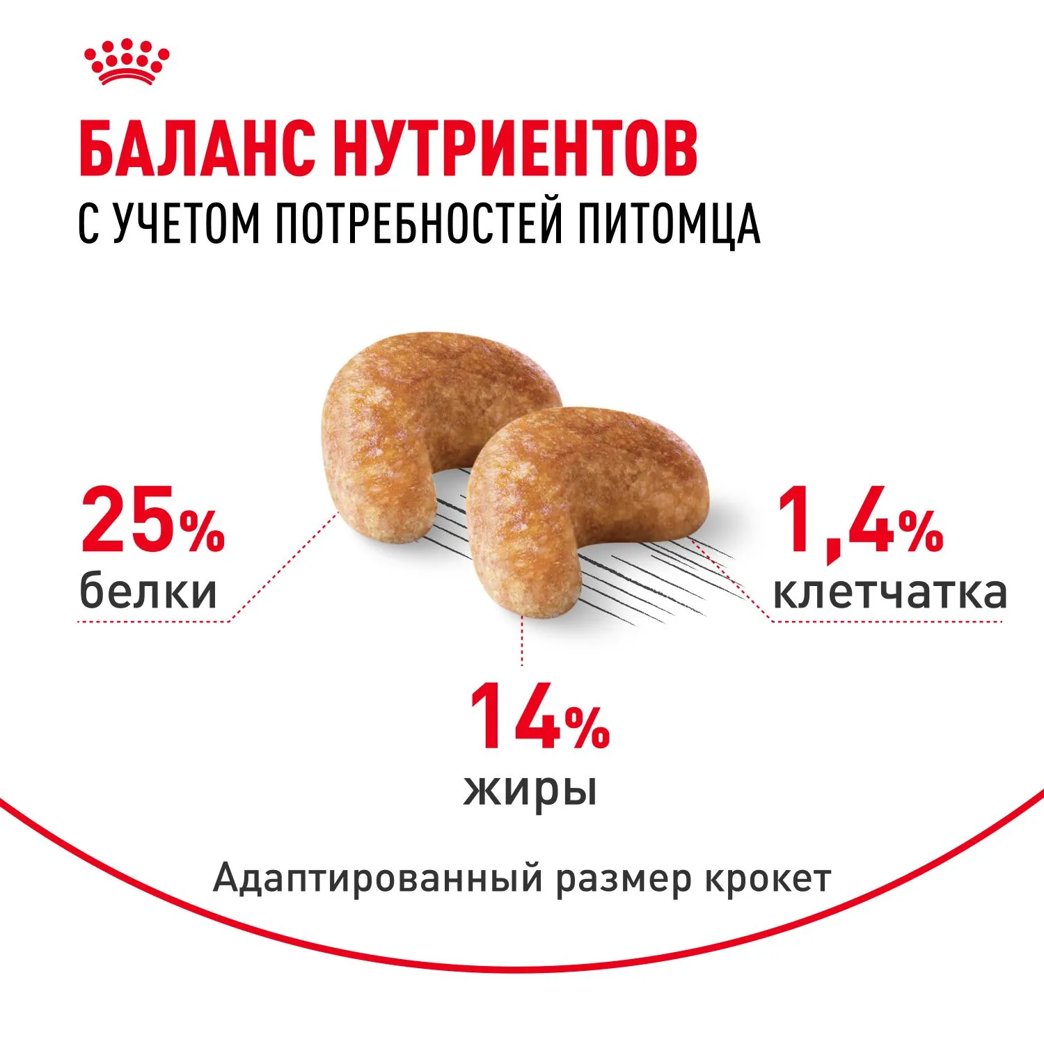 Корм Royal Canin Cocker Adult для собак