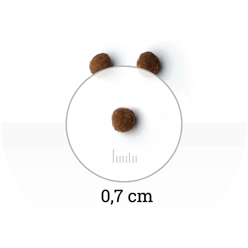 Natura Wild Small Ridge Kitten (Курица)