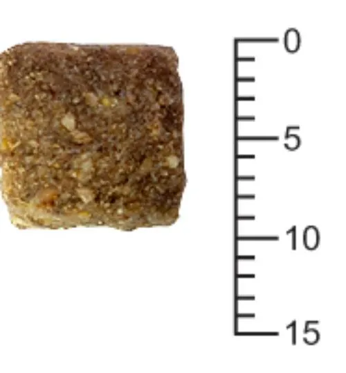 "Терра Пес" для взрослых собак крупных пород