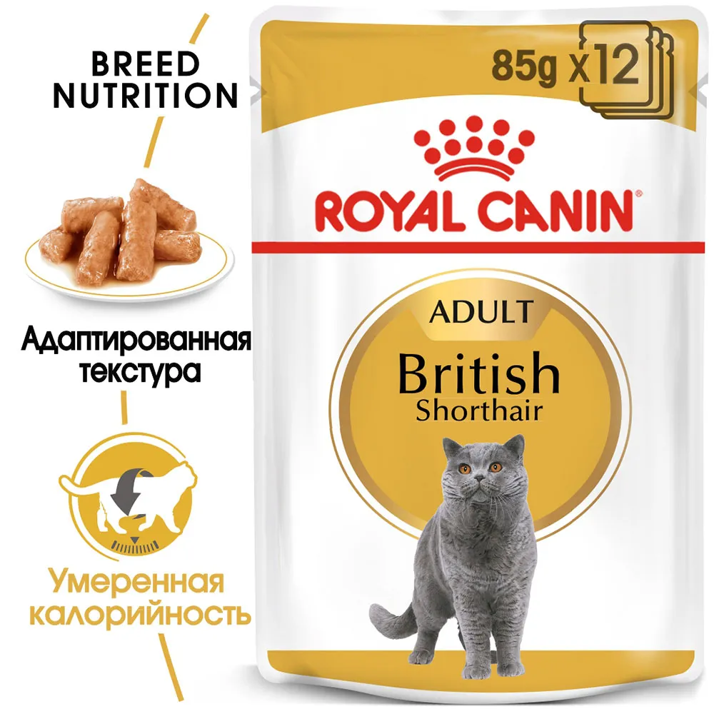Royal Canin British Shorthair Adult (соус)