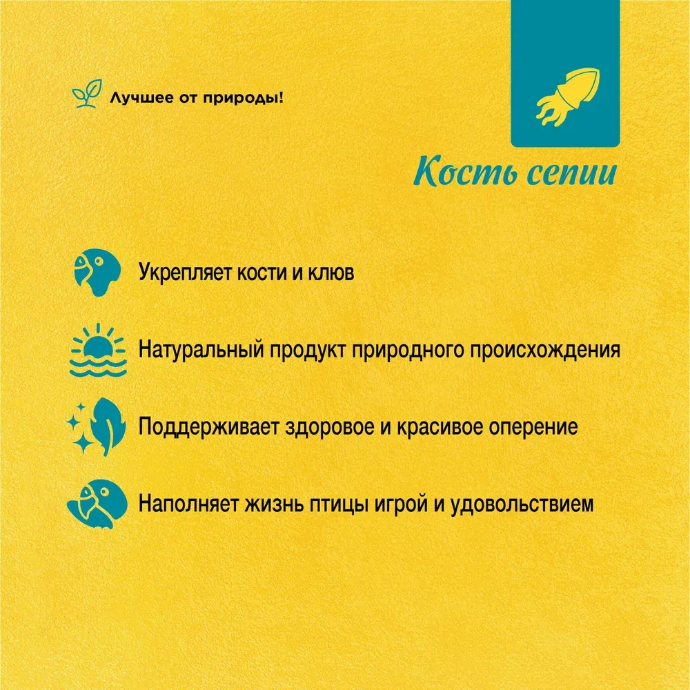 RIO Кость сепии